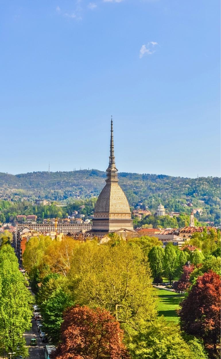 Mole Antonelliana surrounded by trees seen during Turin Walking Tour